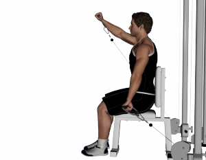 Cable-Seated-Alternating-Front-Raise-622x485